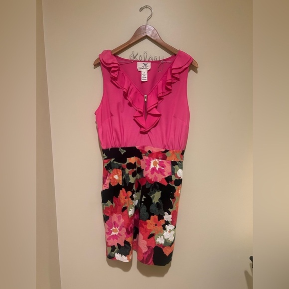 Tabitha Dresses & Skirts - Anthropologie Tabitha Pink and Floral Ruffle Dress Gold Accents Size 12